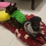 ネグレクトは虐待です！