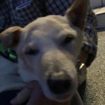 玄関前で眠りにつくジム☆