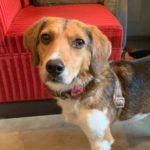 ツルコ・きりカフェデビュー！