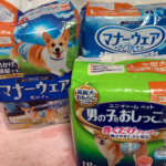 里親募集中☆キッドくん☆とご物資のお礼﻿