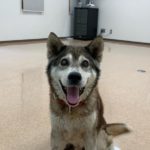 すばる君の幸せ報告♡