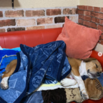 ♡幸せ報告♡﻿