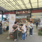 6/29わん🐾フェス